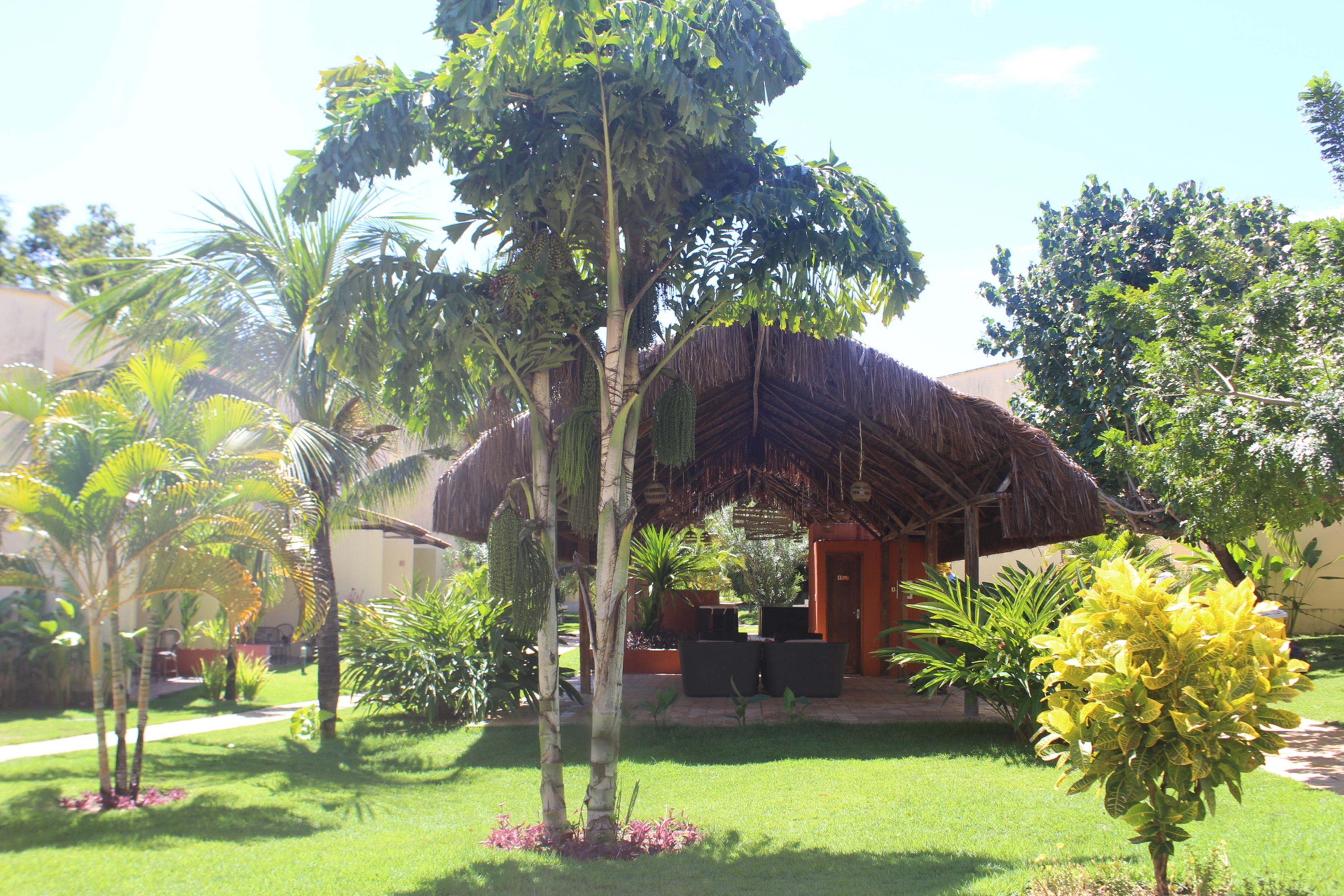 Hotel Pipa Atlantico Praia de Pipa エクステリア 写真