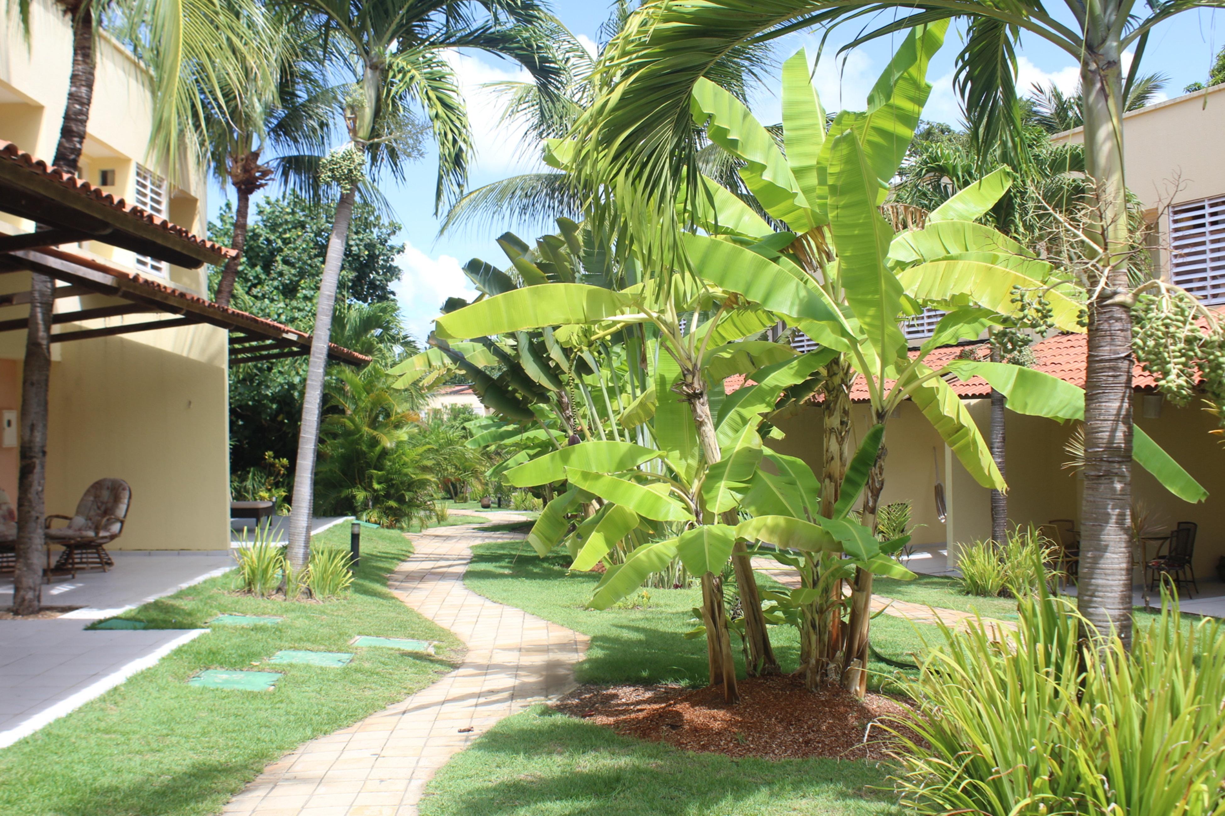 Hotel Pipa Atlantico Praia de Pipa エクステリア 写真