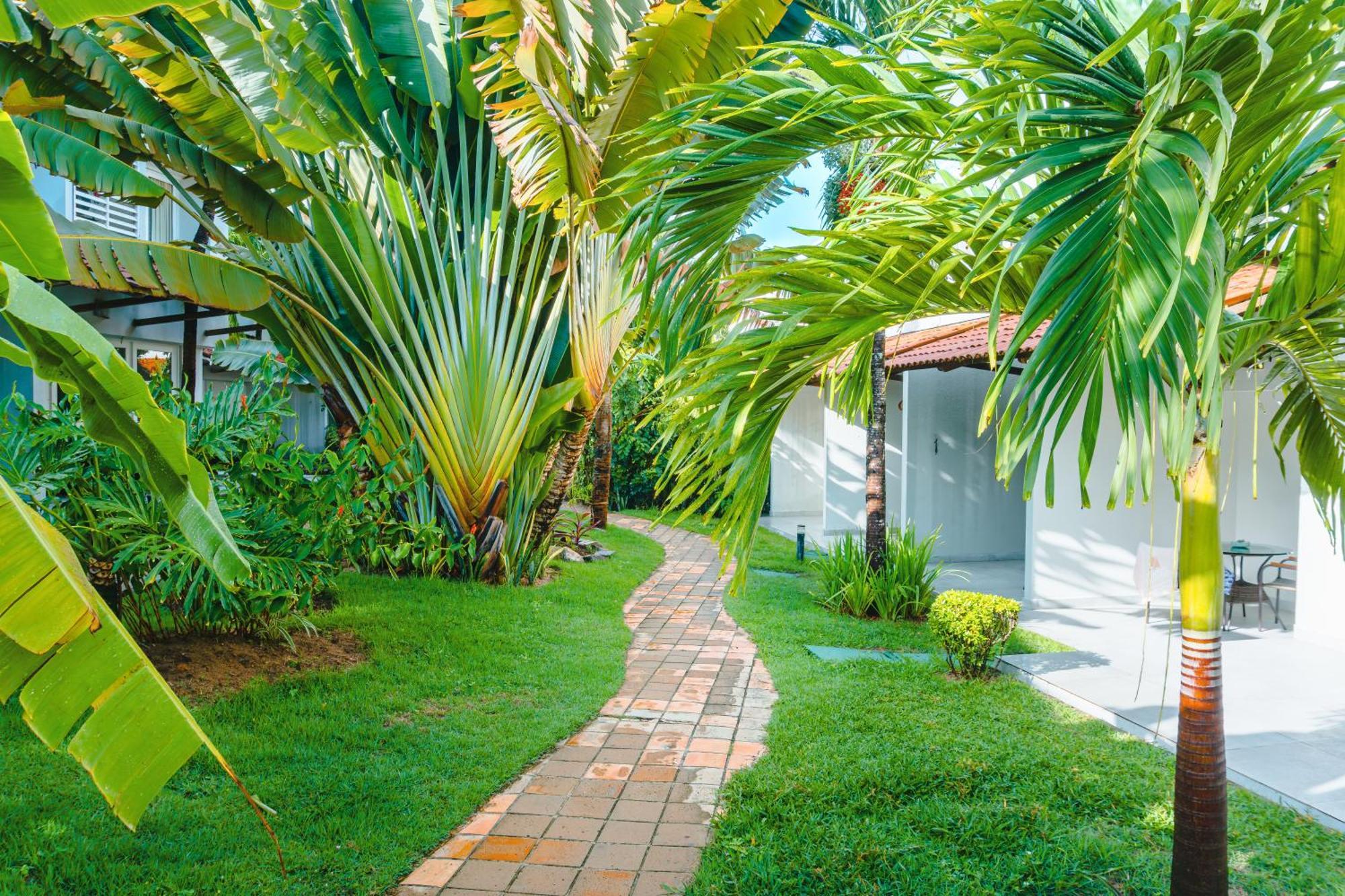 Hotel Pipa Atlantico Praia de Pipa エクステリア 写真